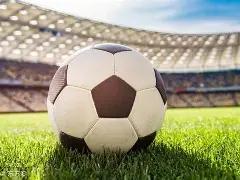 王雷夫妻宣,布怀上第二,李小萌腹部,开宝体育官网,开宝体育直播,体育赛事直播,足球直播