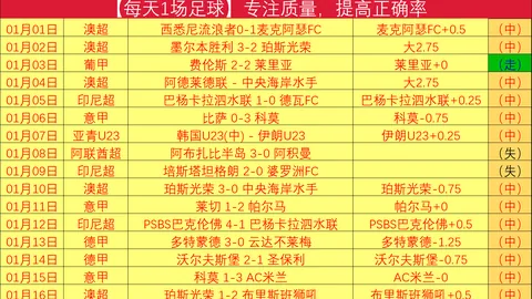 德国联邦议院选举提前启动：央视记者现场直播，5900万选民期待变革来临
